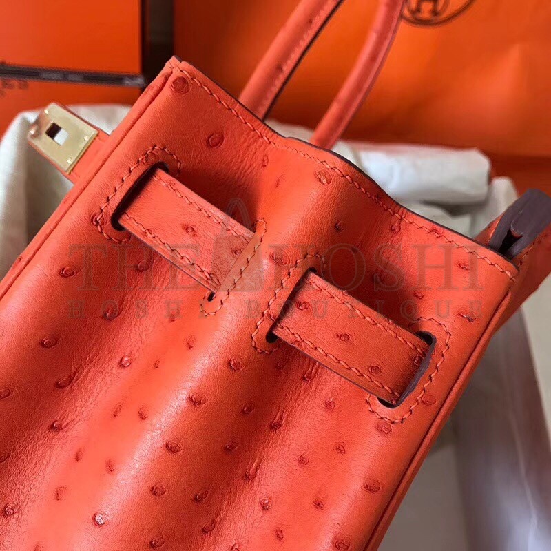 H**me5 Orange Birkin 30cm Ostrich Handmade Bag Master Quality