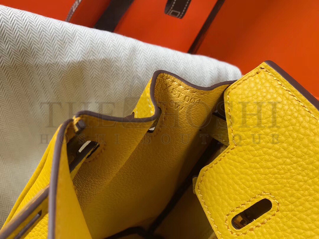 H**me5 Birkin 25 Bag In Yellow Clemence Leather with GHW Master Quality