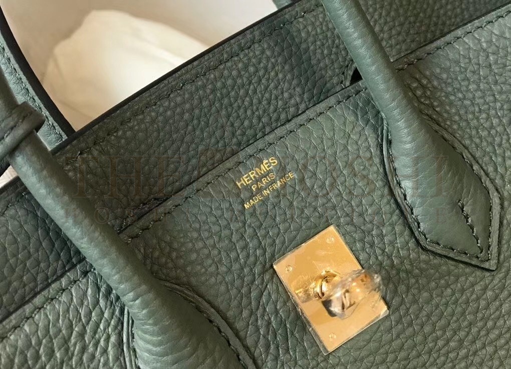 H**me5 Birkin 25cm Bag In Vert Amande Clemence Leather Master Quality