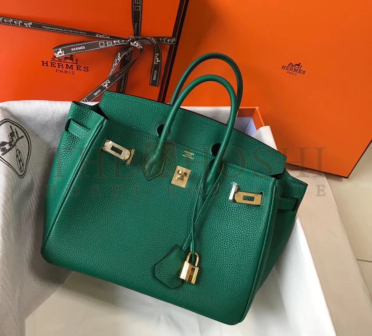 H**me5 Birkin 25 Bag In Vert Vertigo Clemence Leather with GHW Master Quality
