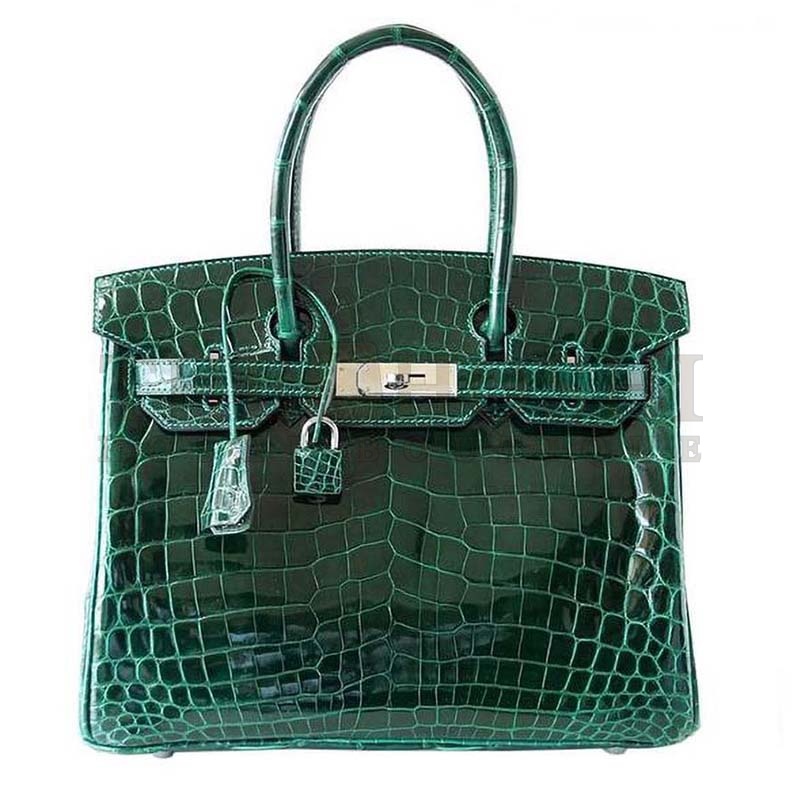 H**me5 Birkin 30 Bag in Alligator Leather with Gold Hardware Master Quality