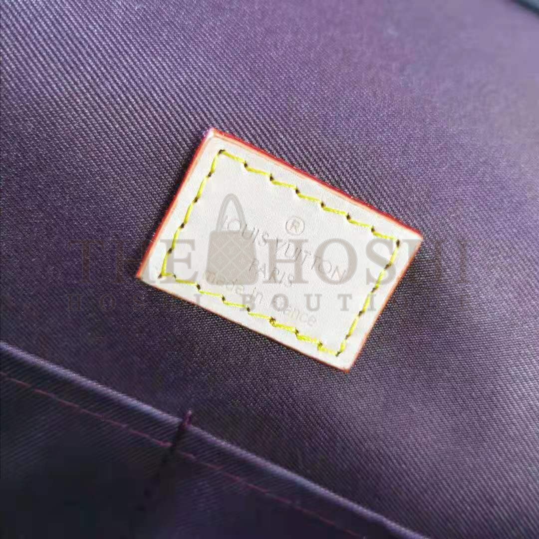 L0vis Vvtt0n LV Women Cluny MM Handbag in Monogram Canvas-Blue Master Quality