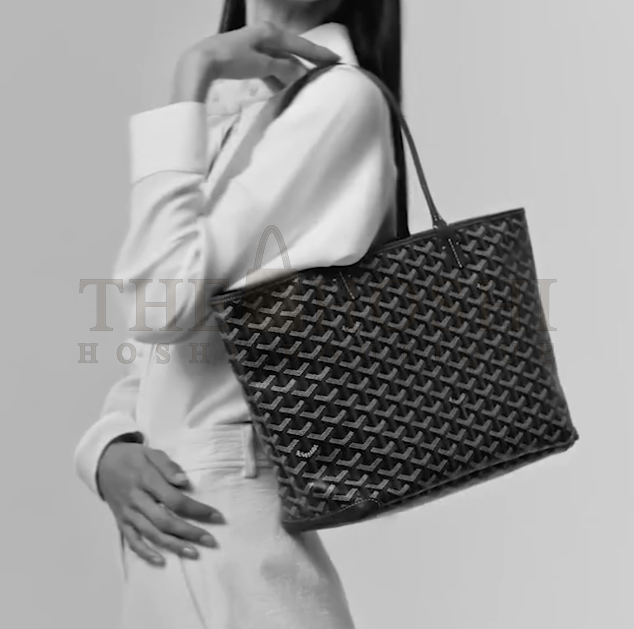 G09ard Tote Anjou PM Bag Master Quality