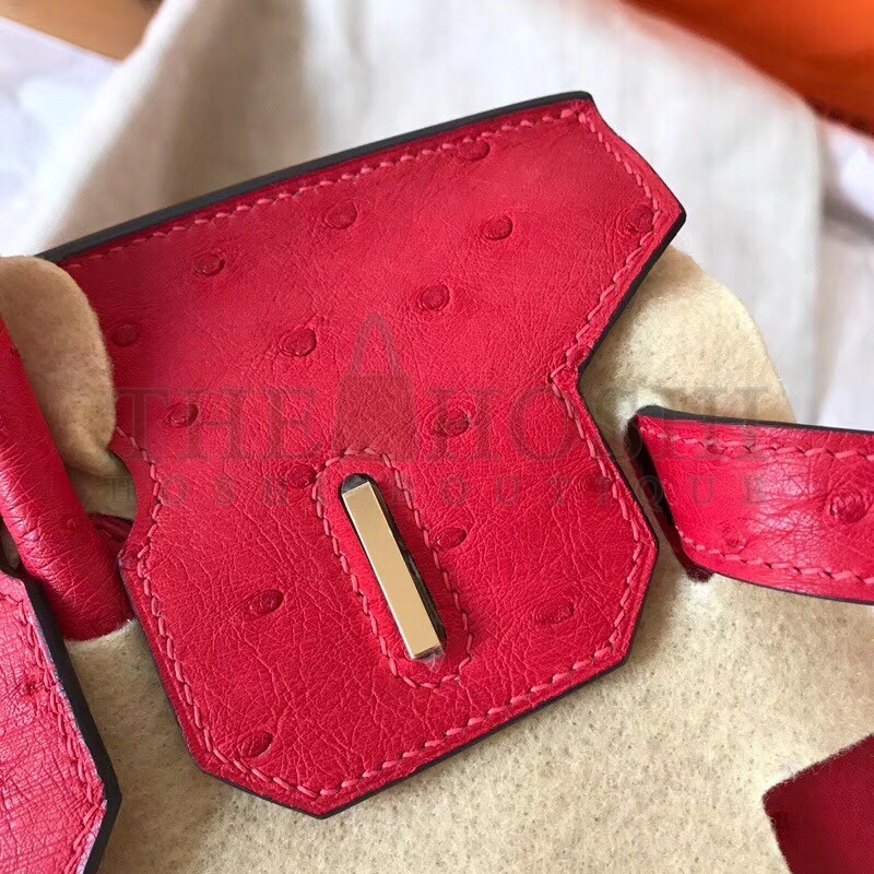 H**me5 Red Birkin 30cm Ostrich Handmade Bag Master Quality