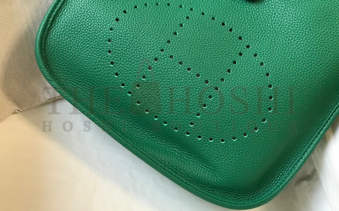 H**me5 Evelyne III 29 Bag In Vert Vertigo Clemence Leather Master Quality