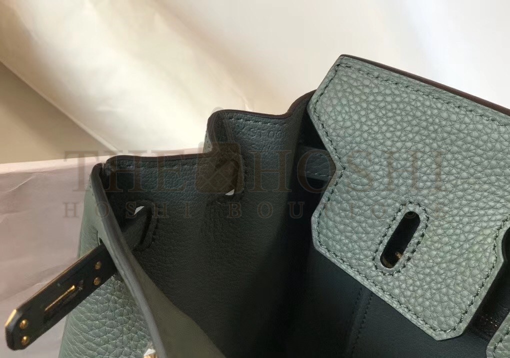H**me5 Birkin 25cm Bag In Vert Amande Clemence Leather Master Quality