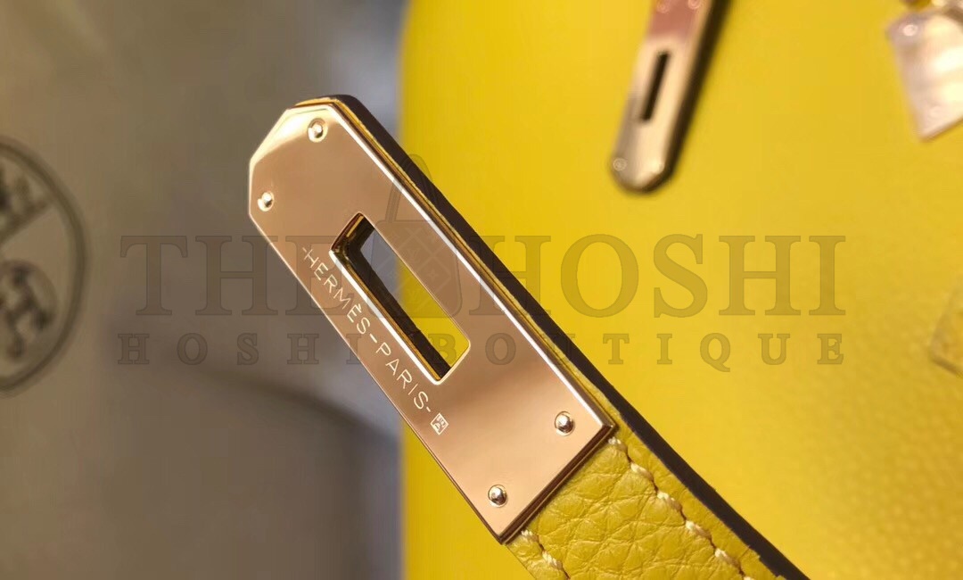 H**me5 Birkin 25 Bag In Yellow Clemence Leather with GHW Master Quality