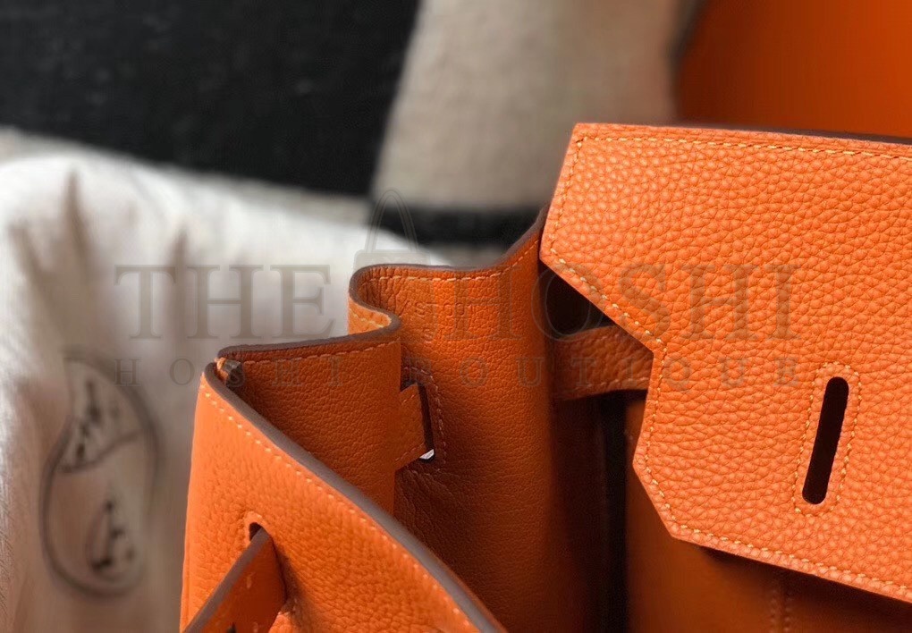 H**me5 Birkin 30 Bag in Orange Clemence Leather with GHW Master Quality