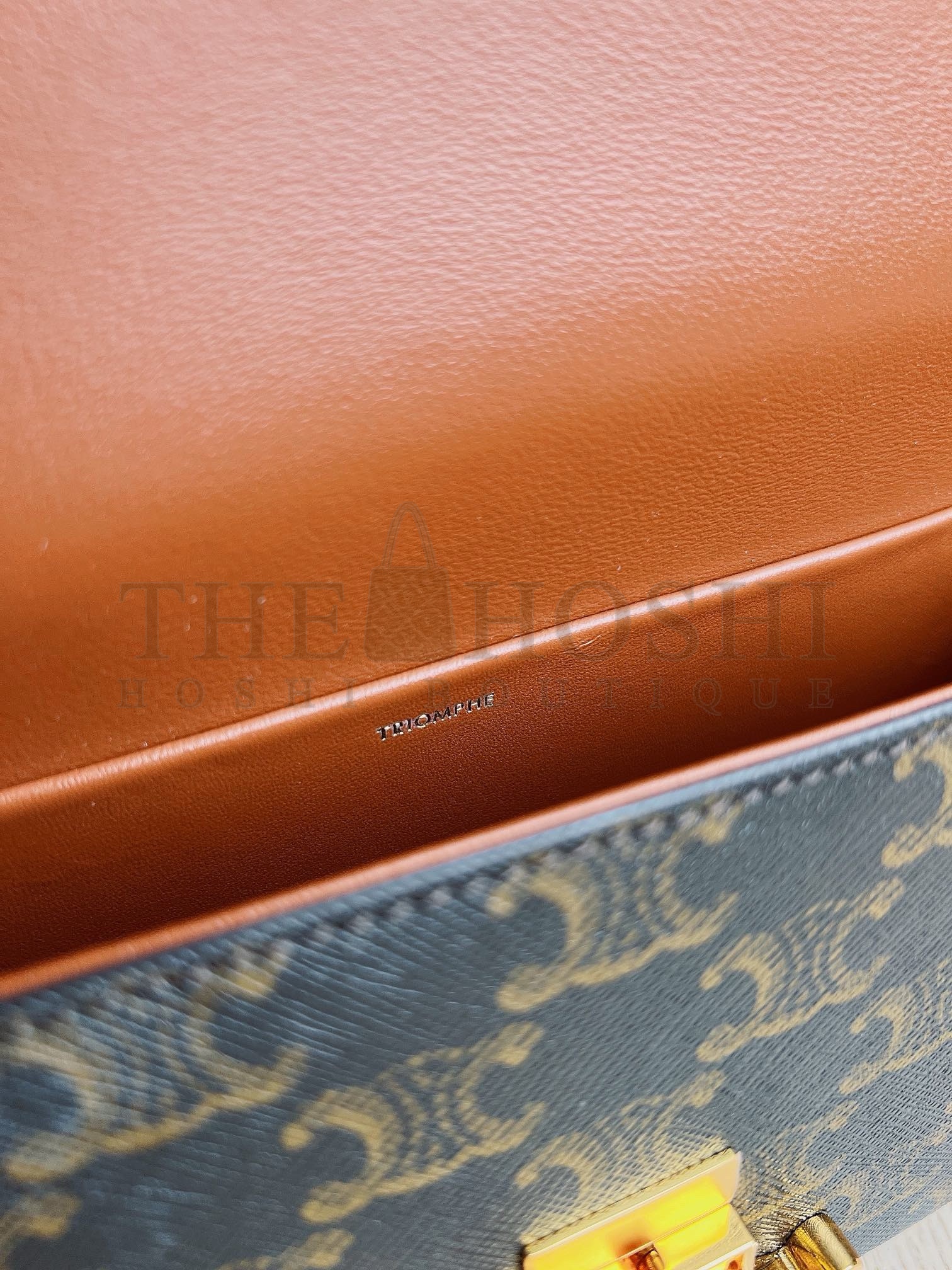 Ce1i*e Claude Shoulder Bag in Black Triomphe Canvas Master Quality