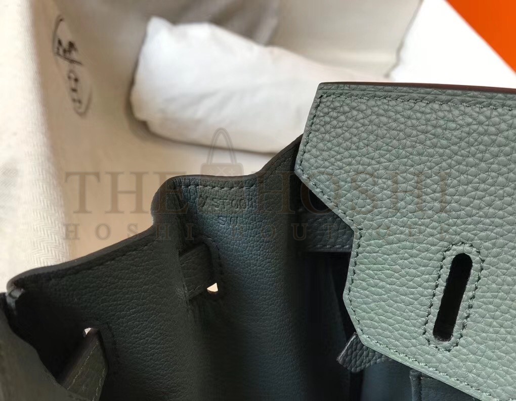 H**me5 Birkin 35 Bag in Vert Amande Clemence Leather with GHW Master Quality