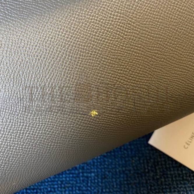 Ce1i*e MICRO BELT BAG 189153ZVA.10DC (24*20*13cm) Master Quality